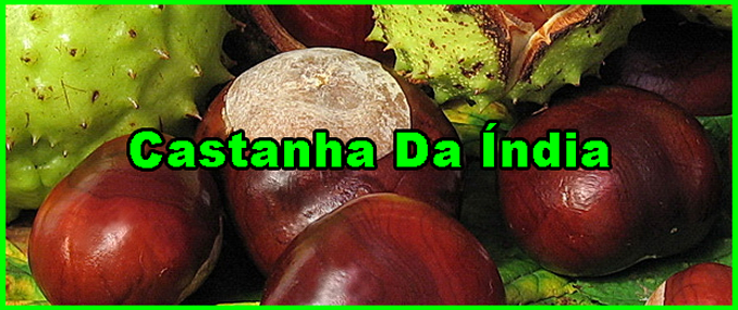 Castanha Da Índia Serve Para Emagrecer?