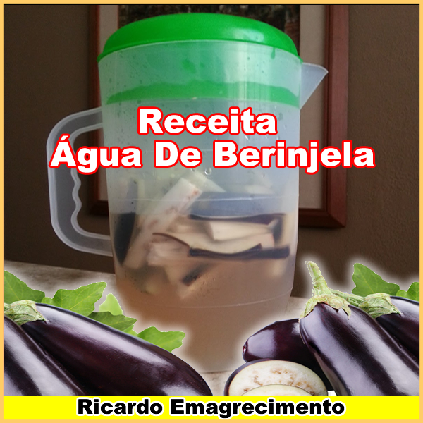 Receita água de berinjela para perder peso.