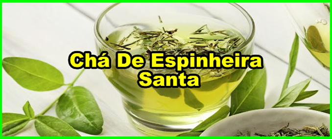 Como Fazer O Chá De Espinheira Santa Para Emagrecer.