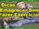 Como Emagrecer Sem Fazer Exercícios.