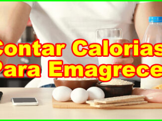 Como Contar Calorias Para Emagrecer.