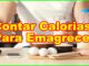 Como Contar Calorias Para Emagrecer.