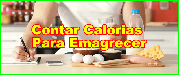 Como Contar Calorias Para Emagrecer.