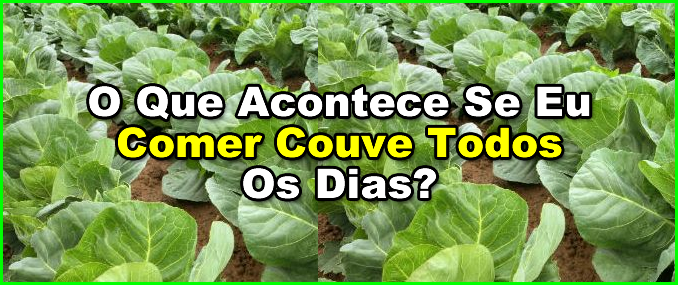 O Que Acontece Se Eu Comer Couve Todos Os Dias?