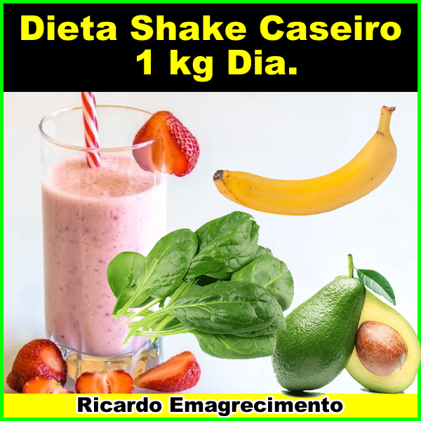 Receita Dieta Shake Caseiro 1 kg Dia.